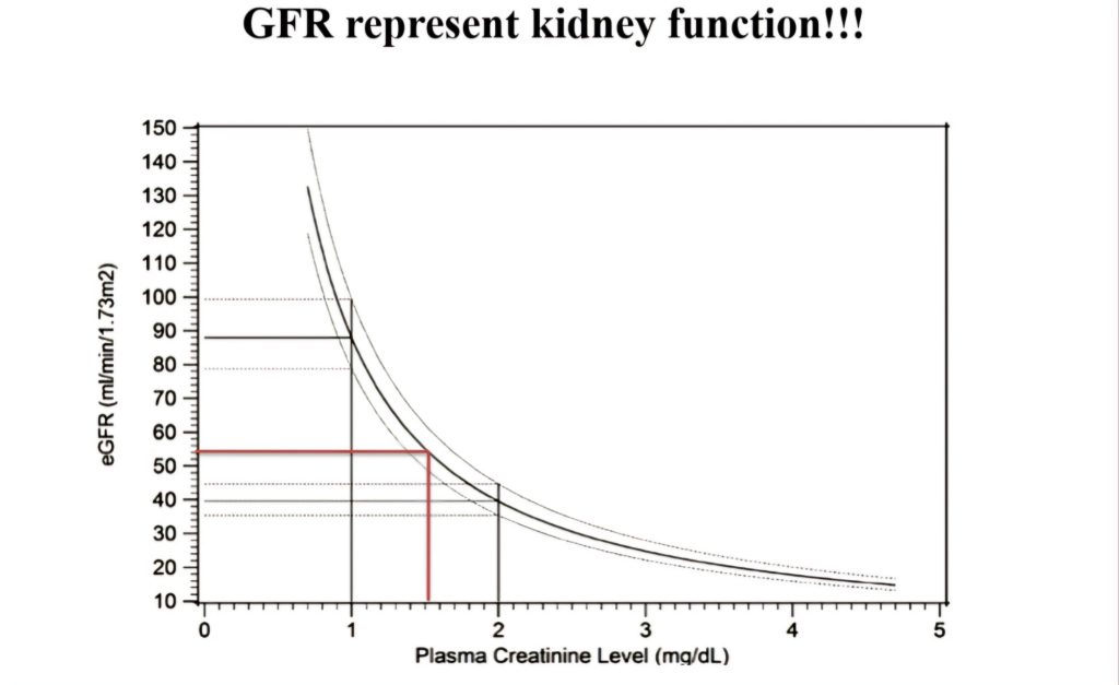 Creatinine is NOT the actual marker of kidney function! – Dr. Preeti ...